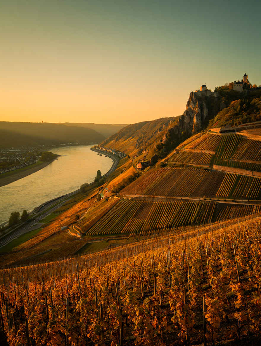 Romantisches Rheintal mit Weinbergen und mittelalterlichen Burgen bei Sonnenuntergang